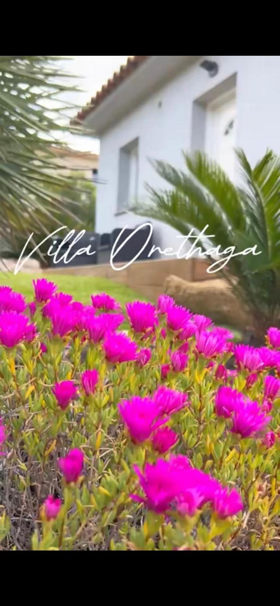 Villa Orethaga Piscine 10 Pers Porto Vecchio エクステリア 写真