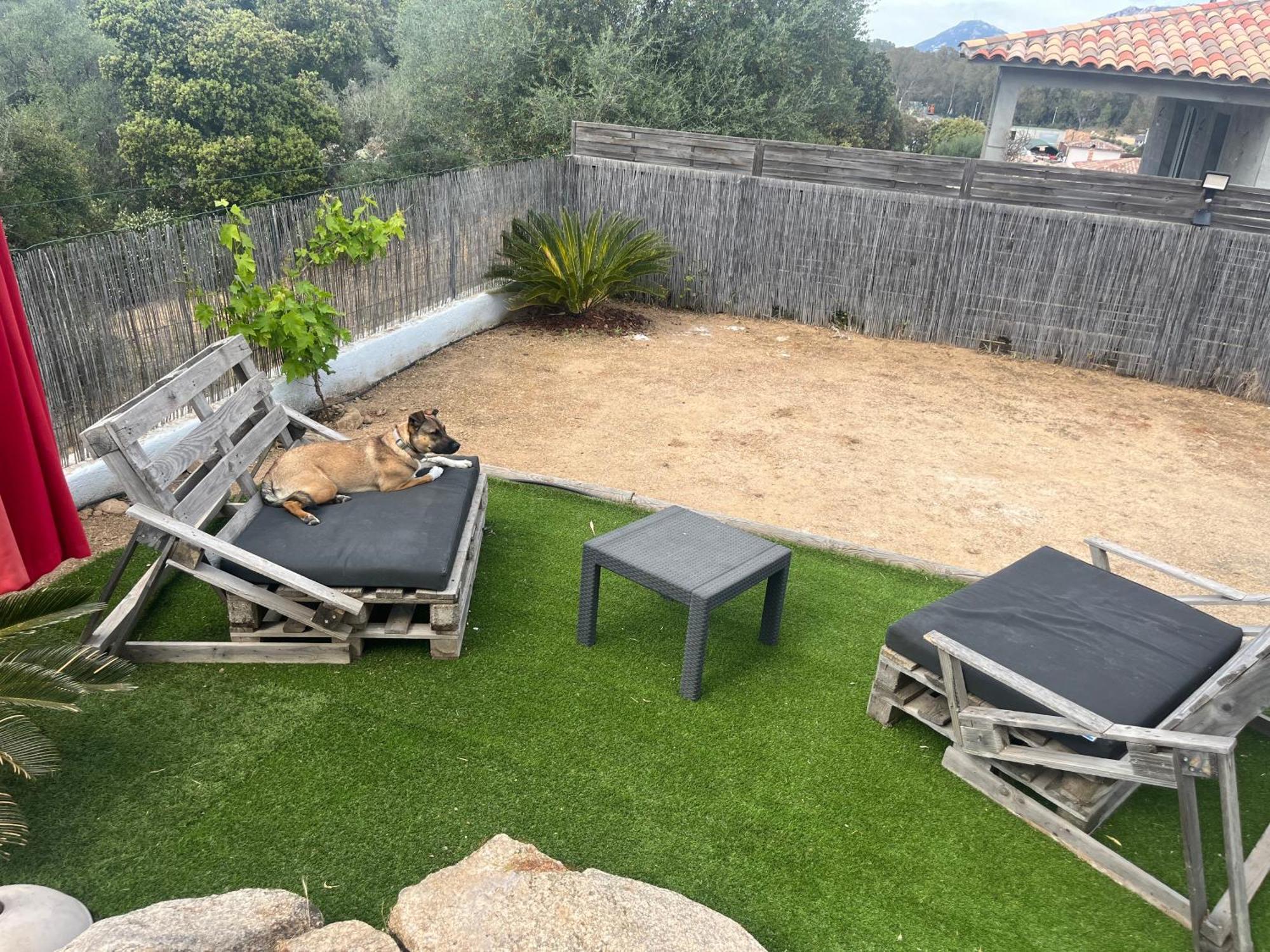 Villa Orethaga Piscine 10 Pers Porto Vecchio エクステリア 写真