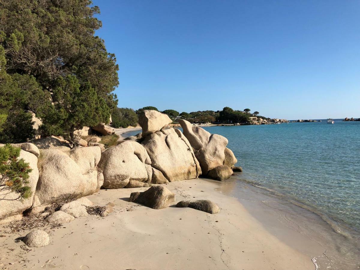 Villa Orethaga Piscine 10 Pers Porto Vecchio エクステリア 写真